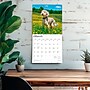2026 BrownTrout Goldendoodles 12" x 12" Monthly Wall Calendar (9798330703500)~#|#~F798EAAA-861A-4627-9BDBBBF398C99975_sc7