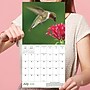 2026 TF Publishing 12" x 17" TF Publishing 7" x 7" Backyard Birds Mini Calendar 26-2013~#|#~F79F663B-2436-4595-8FADEBBE6F50230B_sc7