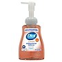 Dial Professional Antibacterial Defense Foaming Hand Soap with Aloe, Original Scent, 11 oz. (1700035446)~#|#~F7BE412A-1DC0-41E8-B4B9CE6FA1CCC762_sc7