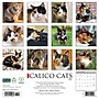 2026 Willow Creek Calico Cats 12" x 12" Monthly Wall Calendar (50484)~#|#~F7C0DF4C-0861-41E4-9AC5BFFE83BBFD58_sc7