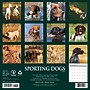 2027 Willow Creek Sporting Dogs 2" x 12" Monthly Wall Calendar, Assorted Colors (62463)~#|#~F7CDE072-1D8F-42EB-865BB3051B3BC447_sc7