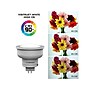 Viribright 4.2-Watts Soft White LED Floodlight Bulb, 6/Pack (752147-6)~#|#~F7EA9D11-3F4F-42D6-8405139EEDB143F2_sc7