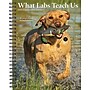 2026 Willow Creek What Labs Teach Us 6.5" x 8.5" Weekly Planner, Paperboard Cover (55267)~#|#~F7F0A828-44AA-422F-AB5FC098854750C0_sc7