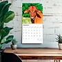 2026 BrownTrout Cows 12" x 12" Monthly Wall Calendar (9798330703067)~#|#~F7F83595-E0F8-45EA-9D4B6C3FFC1ABE2E_sc7
