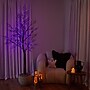 Nearly Natural Pre-Lit Halloween Minimalist Twig Artificial Fall Tree, 7' (T5162)~#|#~F8007C70-7549-4952-945DE66B45117EB4_sc7