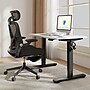 FlexiSpot E2 42''W Electric Adjustable Standing Desk, White/Black (E2B4224W)~#|#~F8052087-5DEB-4517-AF922A22C6AD24B8_sc7
