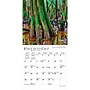 2027 BrownTrout National Parks 7" x 7" Monthly Wall Calendar (9798330709533)~#|#~F815551F-33BC-4EAB-993652996DFD566F_sc7