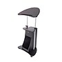 Techni Mobili 22"W Manual Adjustable Standing Laptop Cart, Black (RTA-B005-BK46)~#|#~F82A08A8-41D7-47C3-8E313068D8540D56_sc7