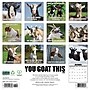 2026 Willow Creek You Goat This 12" x 12" Monthly Wall Calendar (53393)~#|#~F863DB1C-A9A5-49D5-AE80FC8715AA9D50_sc7