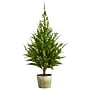Nearly Natural Cedar Pine Natural Look Artificial Tree in Decorative Planter, 3.5' (T1512)~#|#~F86761BF-F758-46F6-957A73BEB73E6D46_sc7