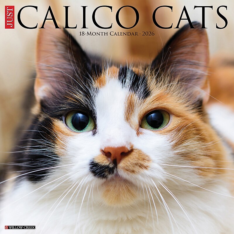 2026 Willow Creek Calico Cats 12" x 12" Monthly Wall Calendar (50484) image 1