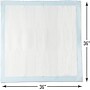 DMI Disposable Incontinence Pads, 36" x 36", 50 Pads/Pack, 2/Pack (560-7097-1900KI)~#|#~F87786AC-73AB-4634-A9504FC05B6695A6_sc7