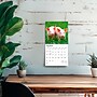 2026 BrownTrout Piglets 7" x 7" Monthly Wall Calendar (9798330705122)~#|#~F87EFFA6-7472-4AAA-B1DAFF64478A0675_sc7
