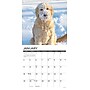 2026 Willow Creek Goldendoodles 12" x 12" Monthly Wall Calendar (51313)~#|#~F882BFFA-C9C2-48DD-A6207C0C53885B51_sc7