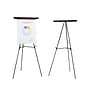 Staples Tri-Lite Display Easel, Black Steel (28220US/50449US)~#|#~F88DA039-D434-41F9-8F968431BA763639_sc7