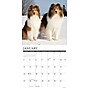 2026 Willow Creek Shelties 12" x 12" Monthly Wall Calendar (52761)~#|#~F89AF7B6-F8F0-412B-AE06EB6641C4D0AF_sc7