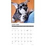 2027 Willow Creek Schnauzer Puppies 12" x 12" Monthly Wall Calendar, Assorted Colors (62173)~#|#~F89B9052-6811-4D9B-8AB1CF9BC575EECE_sc7