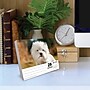 2027 Willow Creek Westies 5.4" x 6.2" Day-to-Day Calendar (63811)~#|#~F8A69ED2-AC65-4CEC-8BE696BDFEC2B37D_sc7