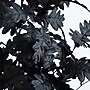 Nearly Natural Artificial Halloween Black Oak Tree, 5' (T5193)~#|#~F8A77FE2-6D05-47B7-836AC9A7B0714E54_sc7