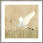 Amanti Art Egret Alighting II by Kathrine Lovell Wood Framed Wall Art Print, 25" x 25" (A42677221098)~#|#~F8AB6318-0E75-4C66-A19B4176B7FB34E3_sc7