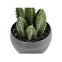 Monarch Specialties Inc. Succulents in Pots, 3/Pack (I 9587)~#|#~F8BE8BE1-235B-4AA4-A0A13FCFA54C1952_sc7