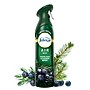 Febreze Air Mist Aerosol Air Freshener & Deodorizer, White Pine & Juniper Berry Scent, 8.8 oz., 2/Pack (03208)~#|#~F8E5477D-2EF6-4361-B67426991C475654_sc7
