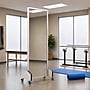 Viva Comfort 72" Mobile Rehabilitation Treatment Mirror with Locking Casters & Safety-Backed Glass, Gray (908-02-MK)~#|#~F90F8865-0E97-4A2B-961D053205D22BBB_sc7