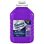 Fabuloso Professional All Purpose Cleaner & Degreaser, Lavender Scent, 1 gal., 4/Carton (US05253ACT)~#|#~F91DB86D-6DE0-4DA7-8CA49BE32783BC6D_sc7