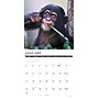 2027 Willow Creek Baby Animals 12" x 12" Monthly Wall Calendar (58954)~#|#~F921430E-BAEC-436E-BEA4AA5FC44269F8_sc7