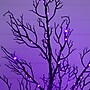 Nearly Natural Pre-Lit Halloween Minimalist Twig Artificial Fall Tree, 4' (T5160)~#|#~F93668D1-AB73-4649-9E8A1A877DB93368_sc7