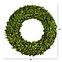 Nearly Natural 24-in Preserved Boxwood Wreath (4375)~#|#~F93DEADC-3802-4DCA-89BCB6E9CFB7E42C_sc7