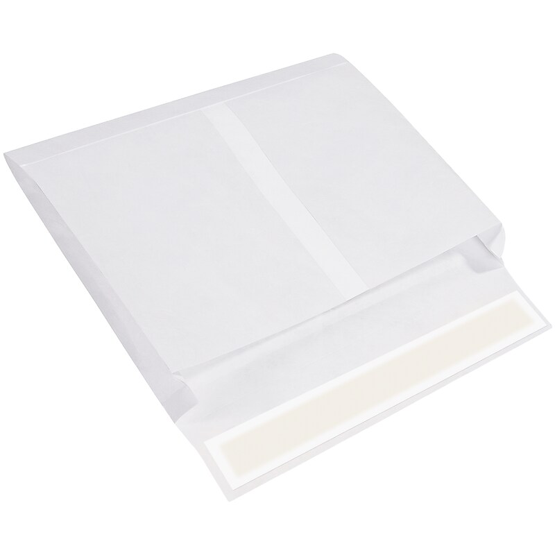 Partners Tyvek Self Seal Catalog Envelope 10" x 15", White, 100/Carton (TYE10152WS) image 1