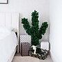 Nearly Natural 4' Artificial Cactus Christmas Tree (T4797)~#|#~F95DCAED-2F9C-47DB-8B2773E16160A1DE_sc7