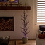 Nearly Natural Pre-Lit Artificial Halloween Black Spooky Twig Tree, 5' (T5236)~#|#~F96FE19E-05CD-4877-BE98DAEB8EA21DB9_sc7