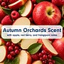 Softsoap Limited Edition Liquid Hand Soap, Autumn Orchards Scent, 11.25 oz. (61055105)~#|#~F976F43D-EA70-41D9-8CADD9953655619D_sc7
