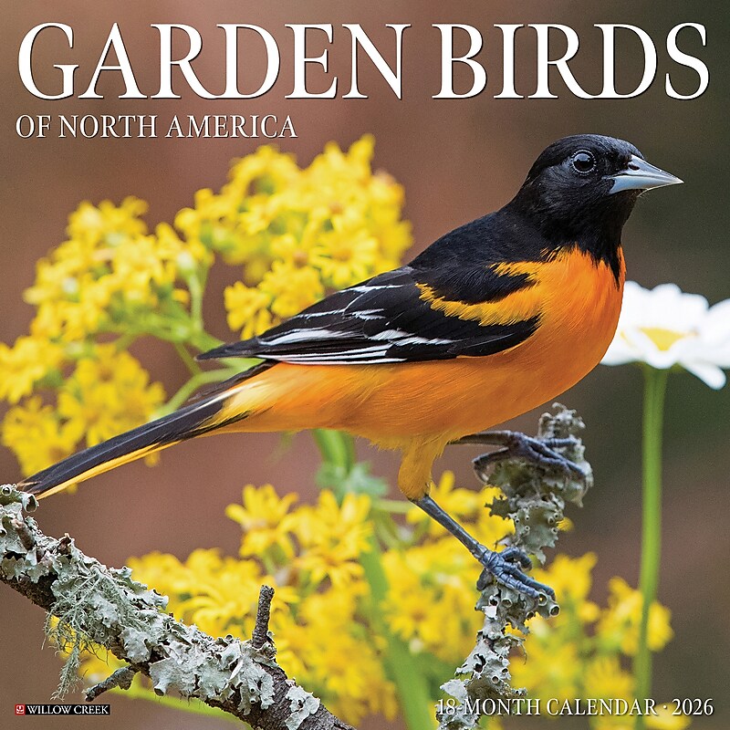 2026 Willow Creek Garden Birds 12" x 12" Monthly Wall Calendar (51184) image 1