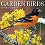 2026 Willow Creek Garden Birds 12" x 12" Monthly Wall Calendar (51184)~#|#~F980D845-ACF4-464F-BCA8178A2B6EB280_sc7
