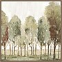 Amanti Art Silent Fall Trees I by Eva Watts Framed Canvas Wall Art Print, 30"W x 30"H (A42678707540)~#|#~F9925996-1A62-483F-A5602765111C39EC_sc7