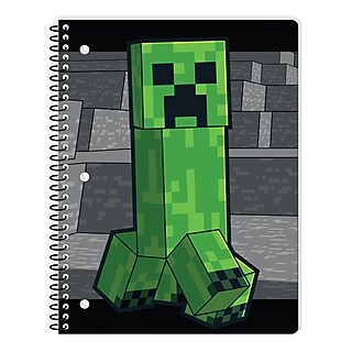 LEGO Minecraft Woodland Mansion Fighting Ring, 491 Pieces (21272