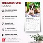 2027 BrownTrout Boston Terrier Puppies 7" x 7" Monthly Wall Calendar, Assorted Colors (9798330709939)~#|#~F9D31E77-14F0-49B8-932D83B121E51D00_sc7