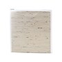 Storage Studios Plastic File Jacket, 13.5" x 14.5", White, 9/Bundle (AVTCH92602-3)~#|#~F9DD517B-91F3-48B5-8732FE08C3D2D6A4_sc7