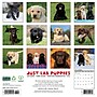 2026 Willow Creek Lab Puppies 12" x 12" Monthly Wall Calendar (51719)~#|#~F9E0BD1B-2BC2-48F8-8DC9C1C59EFE6601_sc7