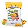 Herr's Good Natured Vegetable-Ables Vegetable Chips, 1.5 oz, 6/Pack (307-00424)~#|#~F9E33B6E-656E-4D89-8017B46853720583_sc7