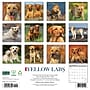 2027 Willow Creek Yellow Labs 12" x 12" Monthly Wall Calendar, Assorted Colors (63095)~#|#~F9EB38B8-2C2E-4212-82943336A7FDAB18_sc7