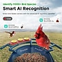 PerchMe AI-Recognition Solar Powered Smart Bird Feeder with Camera, Navy Blue (SF-BF-NB01)~#|#~F9EB6703-1634-48AE-9E4444B9CD968745_sc7