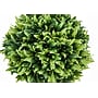 Monarch Specialties Inc. 5" Artificial Plant in Pot, 3/Set (I 9589)~#|#~FA0FFF1A-DD8B-4792-845D6CBBE1A7A9E4_sc7