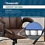 Thomasville Danvers Ergonomic Polyurethane Big & Tall Chair, 400 lb. Capacity, Dark Walnut Brown (52403-DBRN)~#|#~FA11ACCA-B6F9-46F1-97E3E13B20E4725C_sc7