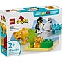 LEGO DUPLO Town Wild Animal Families: Penguins & Lions, 10 Pieces (10442)~#|#~FA1DA794-ED18-47BA-94EC05C528338DE4_sc7