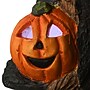 National Tree Company 18" Haunted Tree Trunk with LED Light (PG11-FJ18146)~#|#~FA306504-6C4C-41BD-9687EC15781DA465_sc7