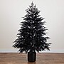 Nearly Natural Artificial Halloween Real Touch Black Norfolk Pine Christmas Tree, 6' (T5244)~#|#~FA426DEC-B430-43AE-BAA4085FF6AF9A96_sc7